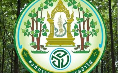 องค์การอุตสาหกรรมป่าไม้ เดินหน้าสนับสนุนไม้เศรษฐกิจไทย